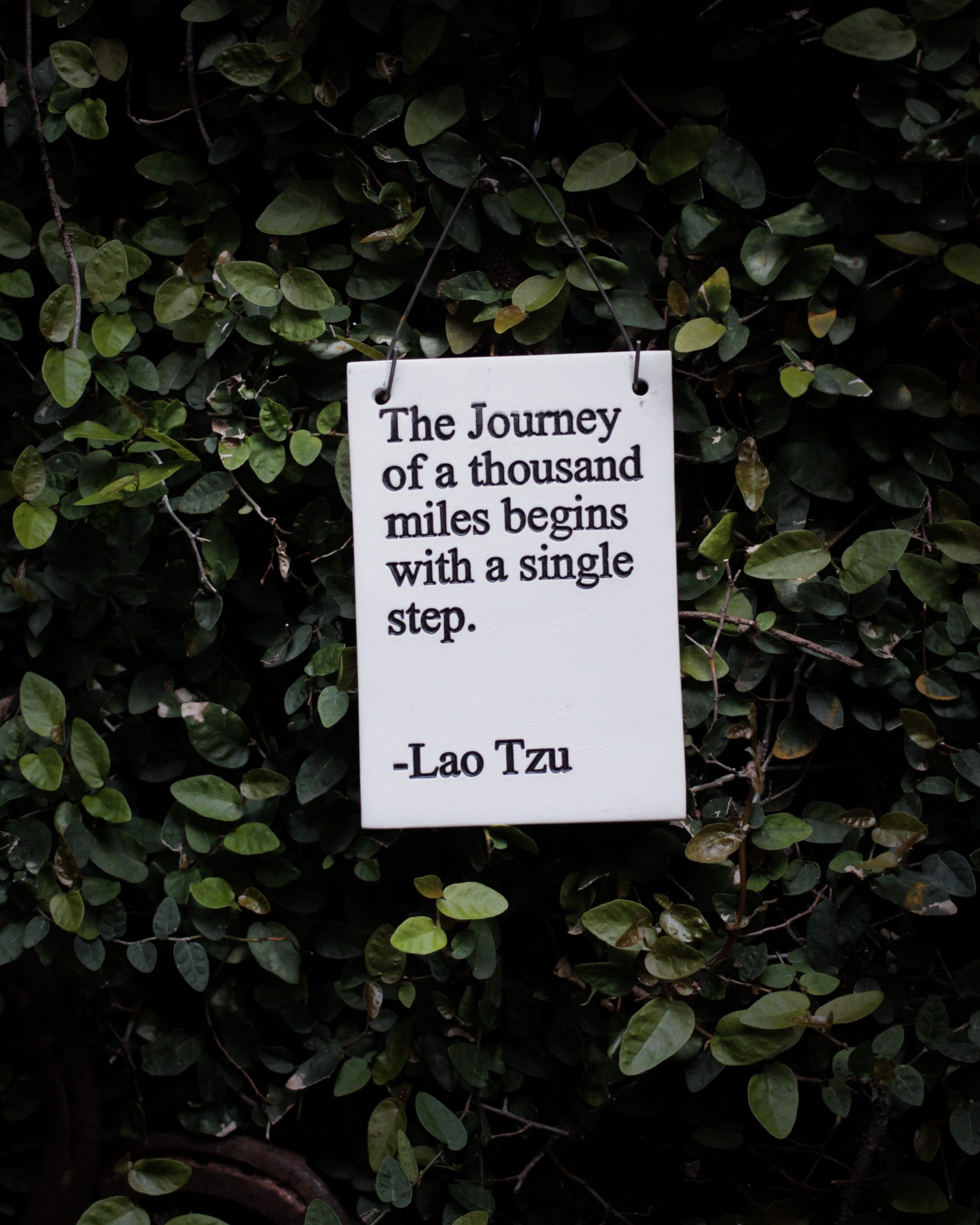 DeepFactor Lao Tzu quote the journey of a thousand miles begins with a single step